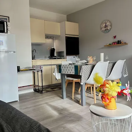 Climatise, 2 Pieces Avec Terrasse, Parking Prive, Proche Et Commerces - Fr-1-226b-178 Apartment