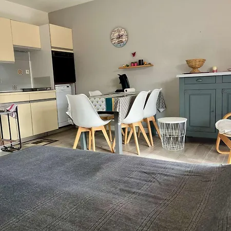 Apartment Climatise, 2 Pieces Avec Terrasse, Parking Prive, Proche Et Commerces - Fr-1-226b-178 *